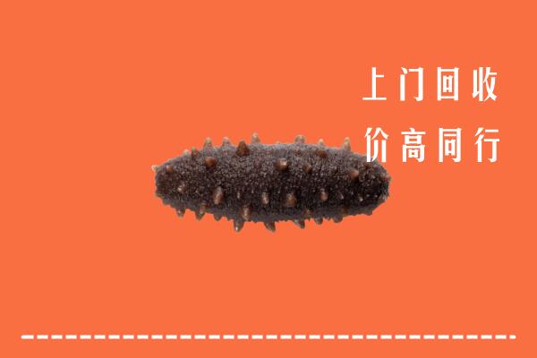 和田高价回收海参