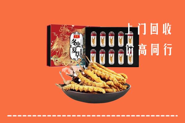 和田回收虫草